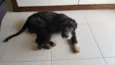 sem identificação