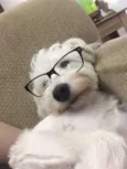 Maggie