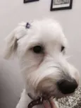 Maggie