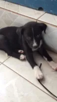Lilo