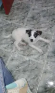 Sem nome