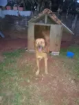 Bob