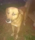 Bob