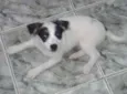Sem nome