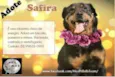 SAFIRA