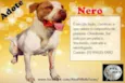 NERO