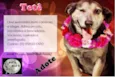 TUCA