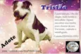 TRISTÃO