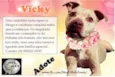 VICKY
