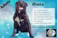 ONIX