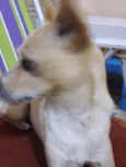 noba