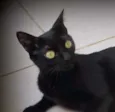 Rubi