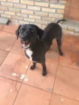 Tayson 