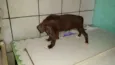 Não tem