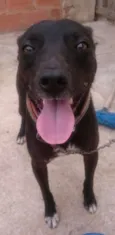 Neguinho