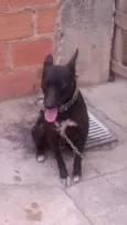 Neguinho