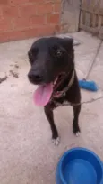 Neguinho