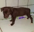 Não tem
