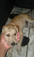Bili, neguinho,negão