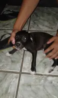 Bili, neguinho,negão