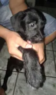 Bili, neguinho,negão