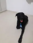 Não sei