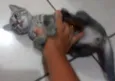 Tom