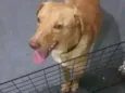 Marley