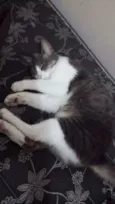 Linda