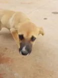 Dori