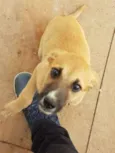 Dori