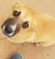 Dori