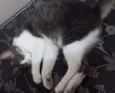 Linda