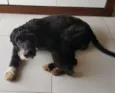 sem identificação