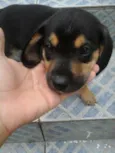 sem nome