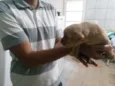 Indefinido
