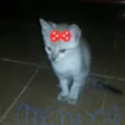 Ainda não