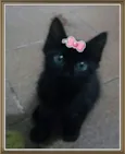 Ainda não