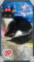 Ainda não