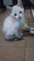Ainda não