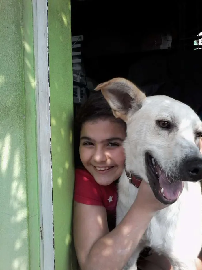 Cachorro ra a Vira Lata idade 2 anos nome Lindinha