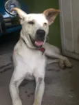 Lindinha