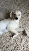 Nina