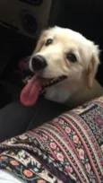 Nina