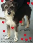 Vitinho