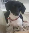 Megan