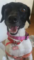 Megan