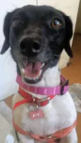 Megan
