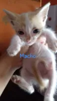 Não tem nome 