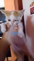 Não tem nome 